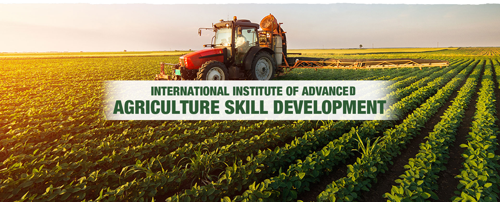 Agriculture Organic Farming Training Institute, Center, Programs India