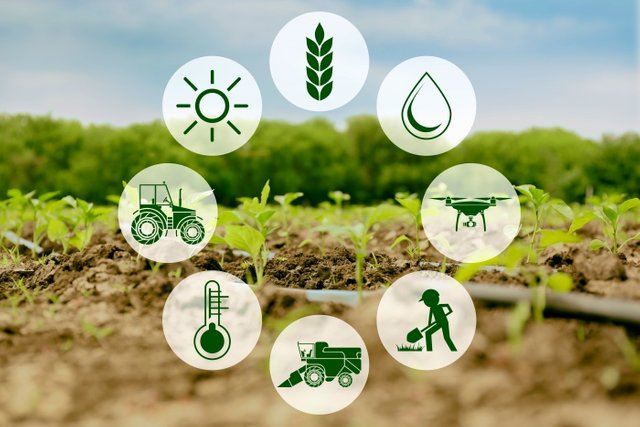 What are The Best Agricultural Insurance Companies?