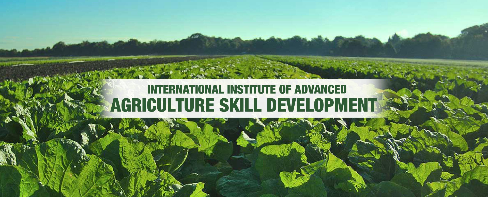 Agriculture Organic Farming Training Institute, Center, Programs India